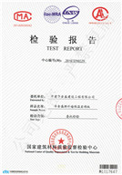 國家檢查報(bào)告（6公分160）