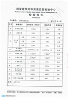 國家檢查報(bào)告（6公分160）